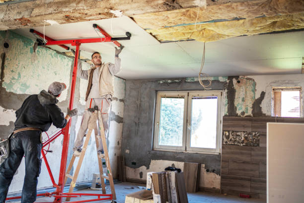 Best Insulation Materials and Products in Cold Spring, MN