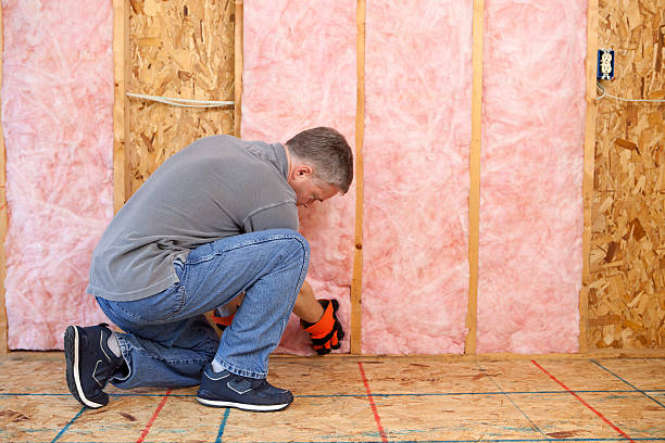 Professional Insulation Contractor in MN