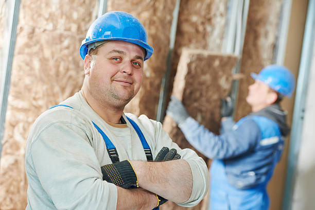 Best Insulation Installation Services in Cold Spring, MN