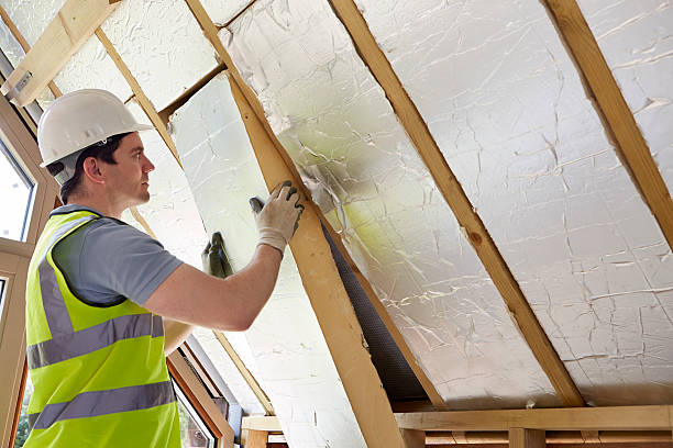 Best Specialty Insulation in Cold Spring, MN