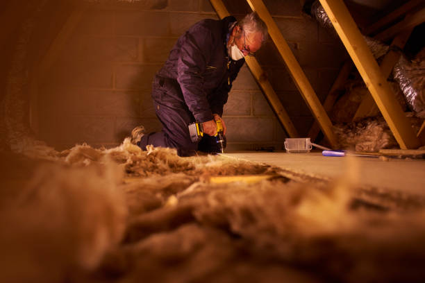 Best Types of Insulation in Cold Spring, MN